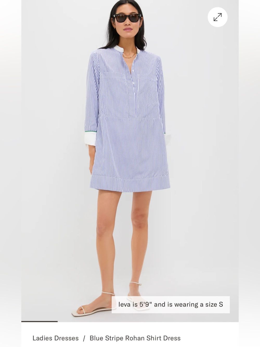 Pomander Place from Tuckernuck Blue and White Pinstripe Shirt Dress - NWT- M